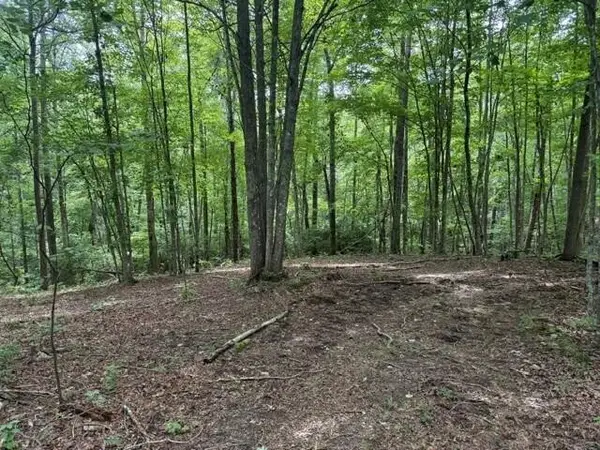 3 S Pittsburg Mountain Road, South Pittsburg, TN 37380