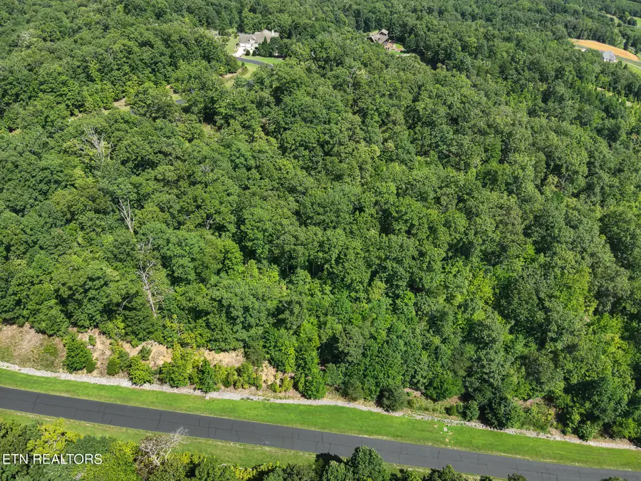 393 W Mountain Drive, Rockwood, TN 37854 - #2