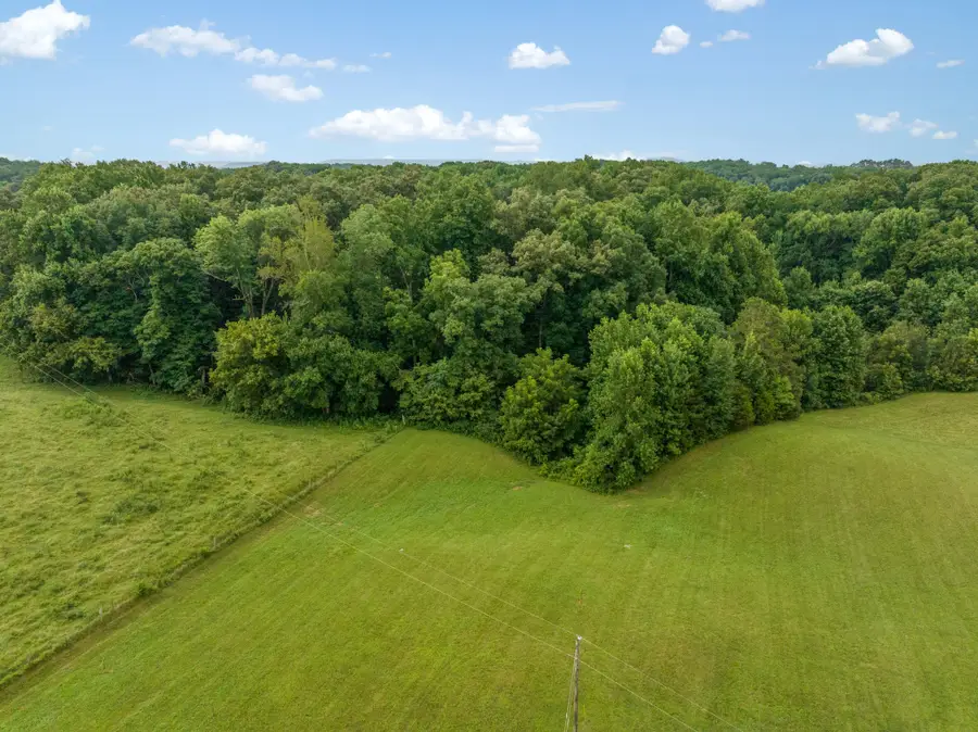 4895 Webbs Camp Rd, Walling, TN 38587 - #3