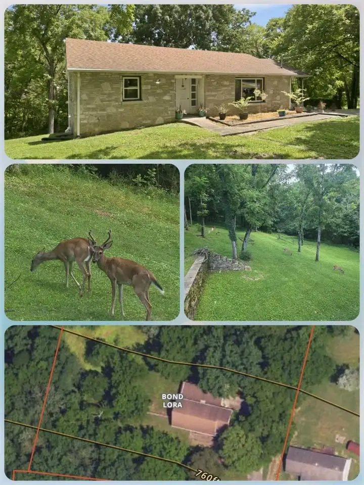 215 Wallace Dr, Fayetteville, TN 37334 - #2