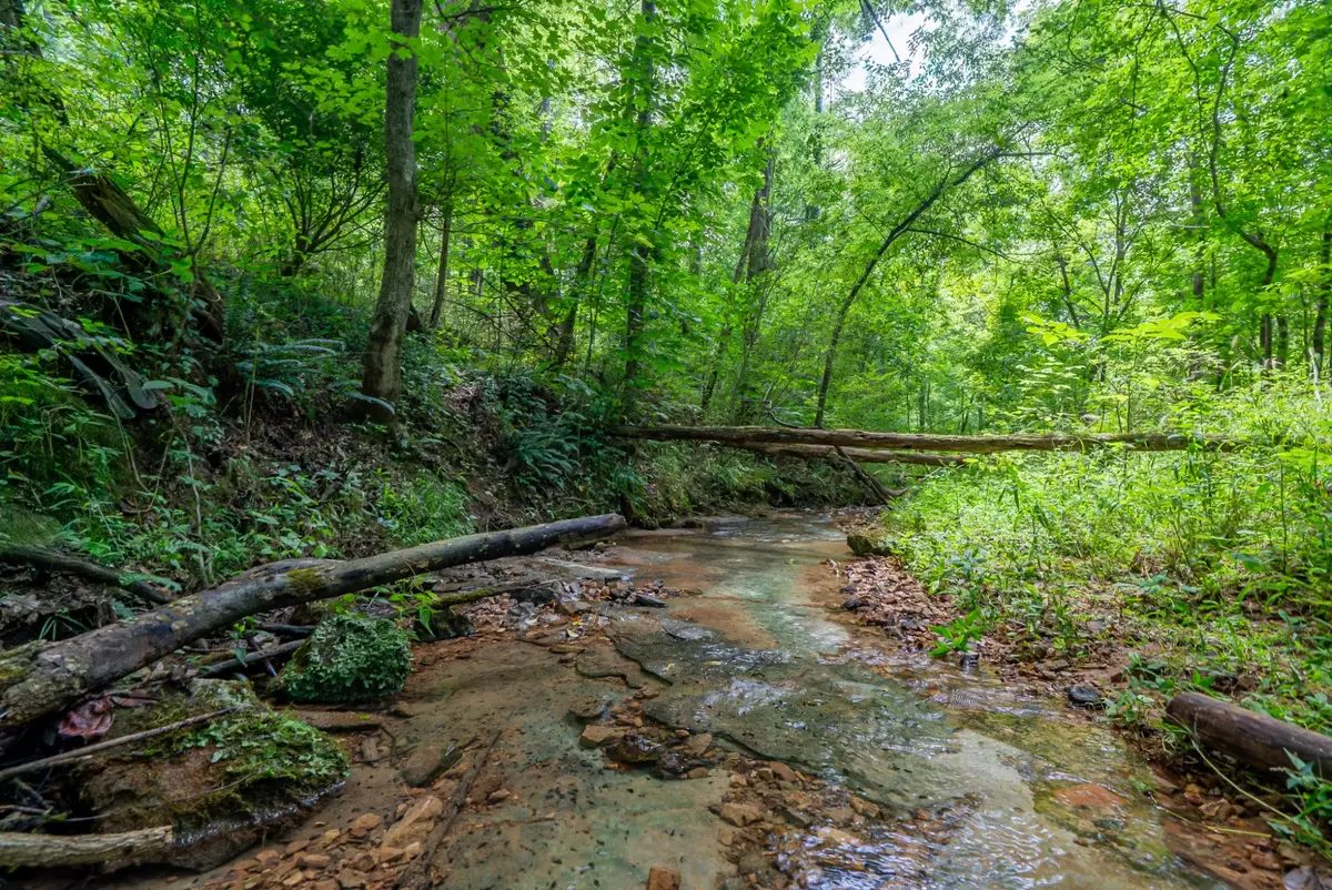 0 Bethlehem Rd, Springfield, TN 37172 - #1