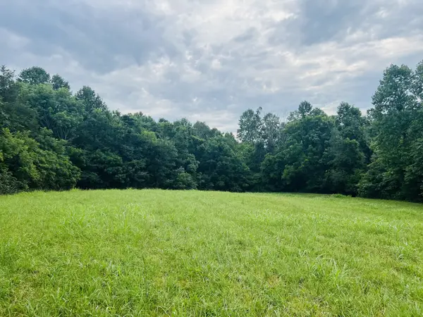 0 Pleasant Grove Road, Westmoreland, TN 37186