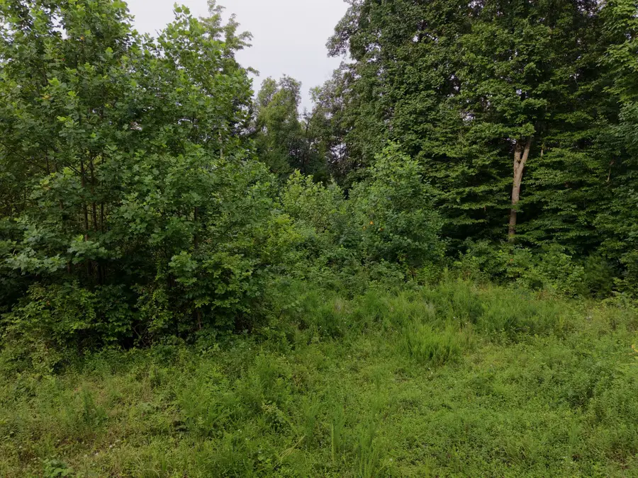 0 Virgil Cross Rd, Red Boiling Springs, TN 37150 - #3