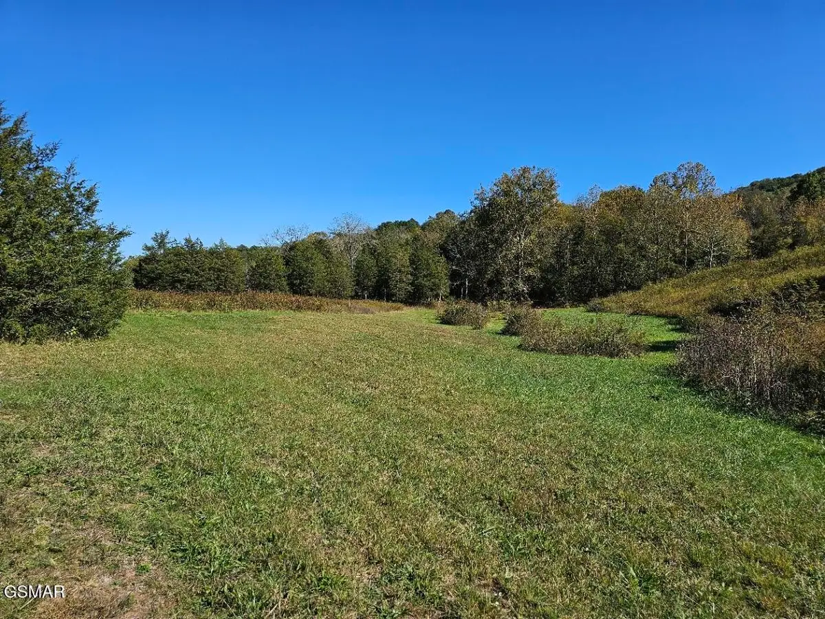 35 Shoreline Vista, Sharps Chapel, TN 37866 - #1