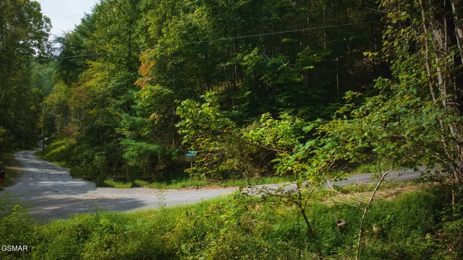 0 Lot 10 Stepping Stone Drive, Sevierville, TN 37862 - #3