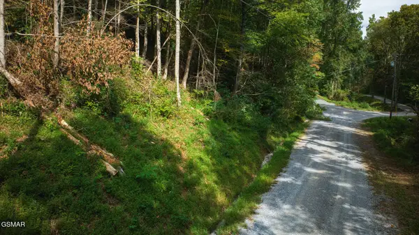 0 Lot 11 Stepping Stone Drive, Sevierville, TN 37862