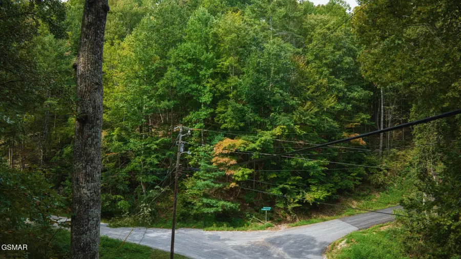 0 Lot 9 Stepping Stone Drive, Sevierville, TN 37862 - #3