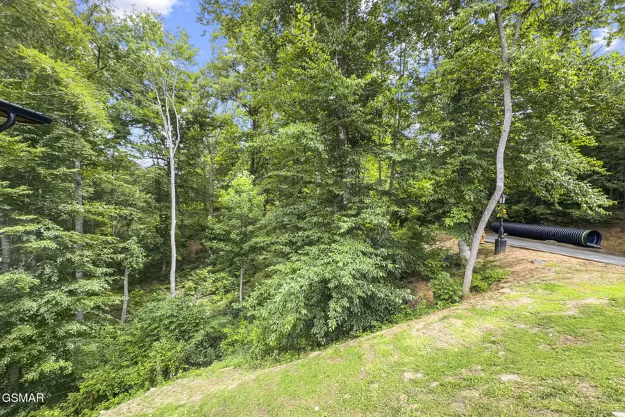 135 Wild Heron Way, Sevierville, TN 37862 - #3