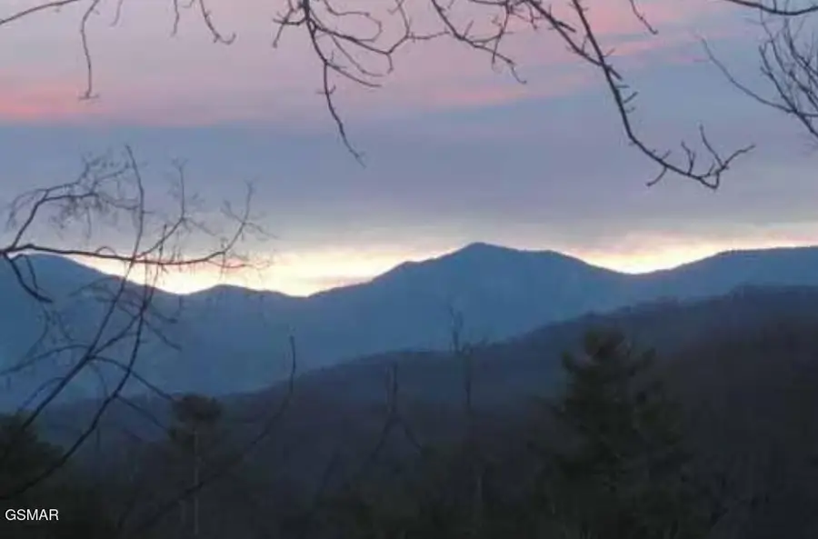 1781 Mountain Shadows Way, Gatlinburg, TN 37738 - #3