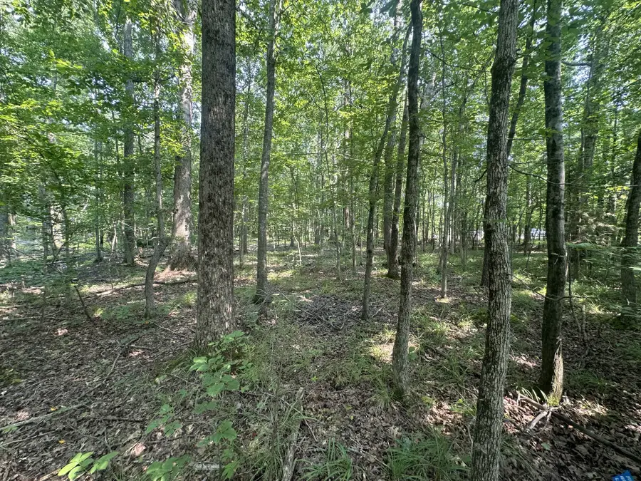 0 S Pinson Dr, White House, TN 37188 - #3