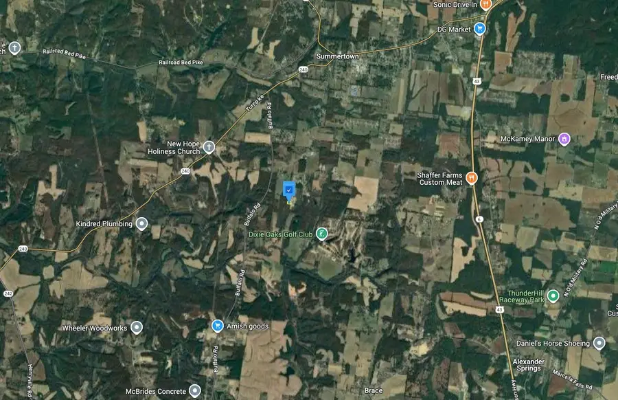 350 Kelsie Cir, Summertown, TN 38483 - #3