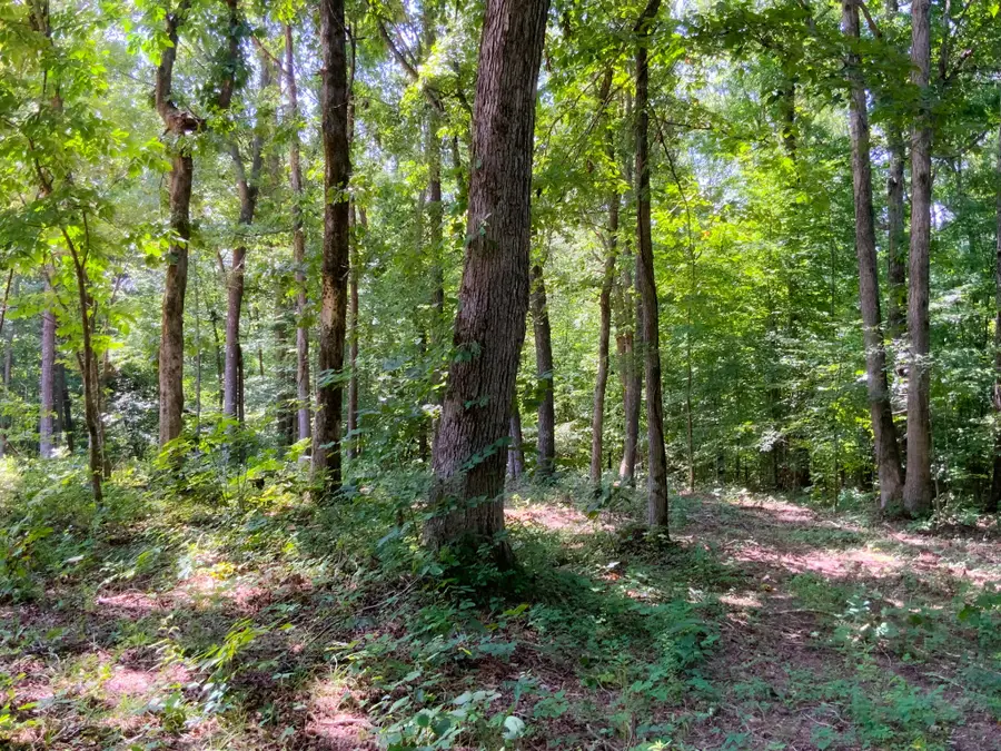 0 Deadwood Drive, Dover, TN 37058 - #2