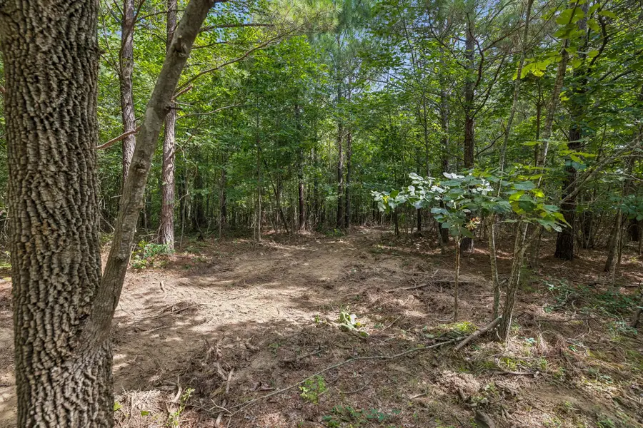 0 Falls Branch Road, Duck River, TN 38454 - #2