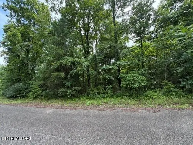 0 Saddleridge Dr. Drive, Speedwell, TN 37870 - #1