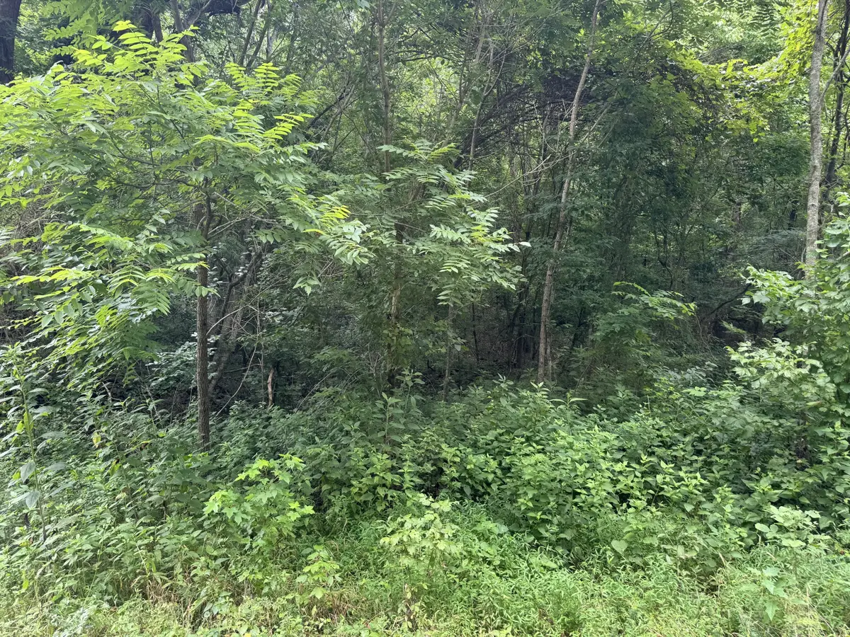 0 Denton Rd, Linden, TN 37096 - #1