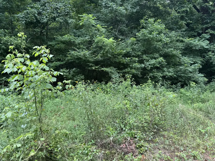 0 Denton Rd, Linden, TN 37096 - #2