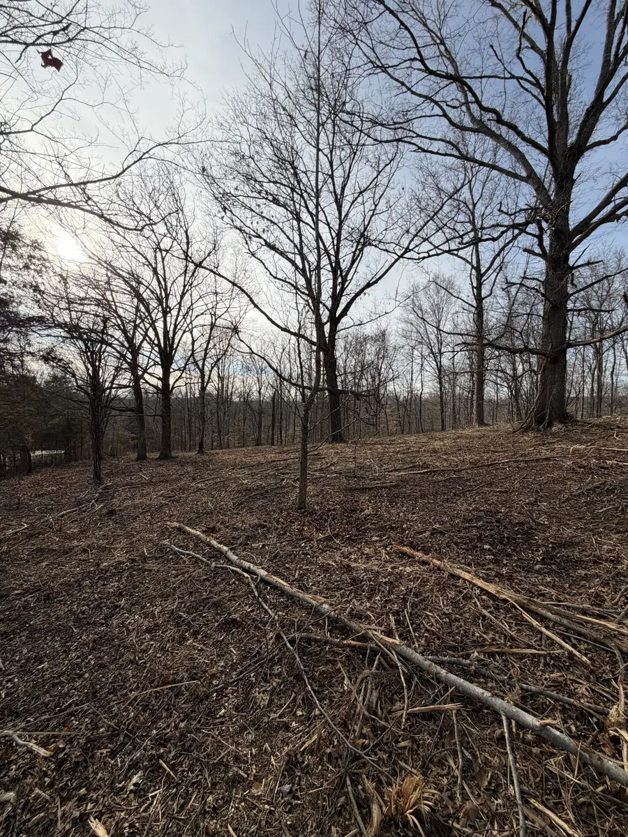 0 Macon Wall Rd, Ashland City, TN 37015 - #3