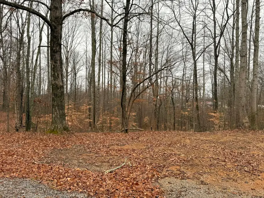 0 Periwinkle Path, Leoma, TN 38468 - #3