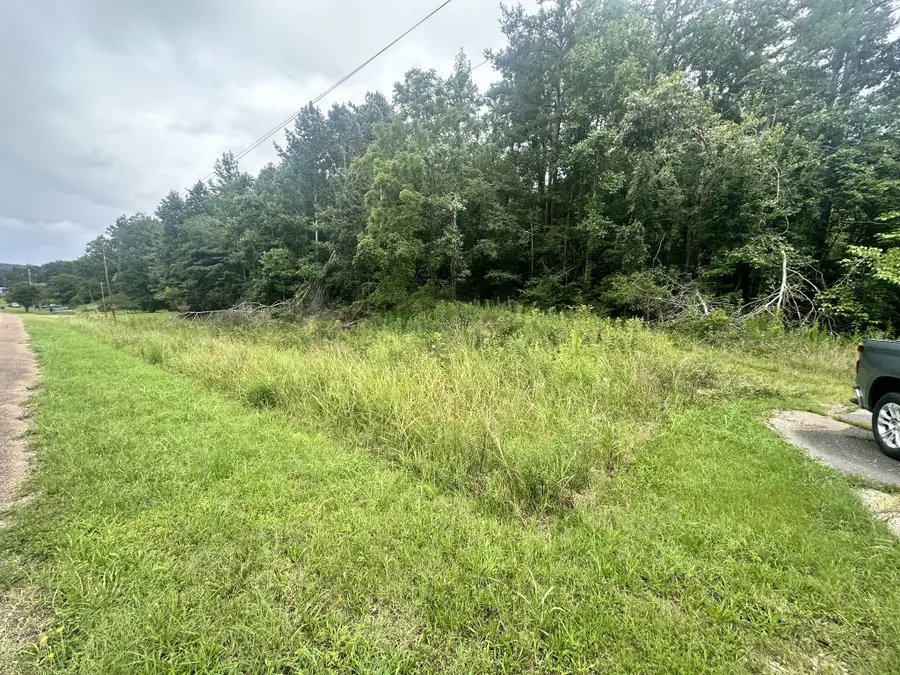0 Hwy 64 West, Waynesboro, TN 38485 - #3