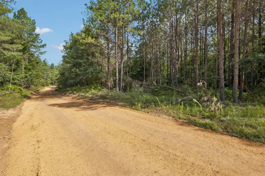 0 Falls Branch Road, Duck River, TN 38454 - #2