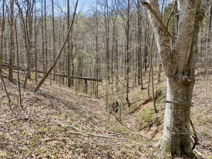 0 Old Highway 31e, Westmoreland, TN 37186 - #3