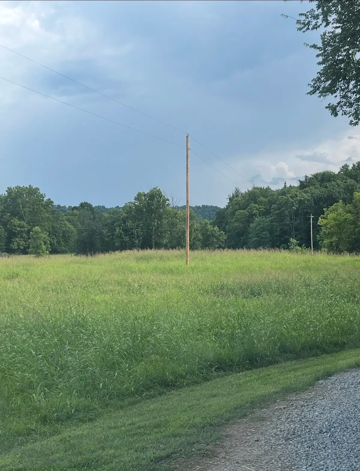 3247 Springplace Rd, Lewisburg, TN 37091 - #1