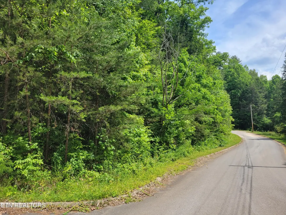 14 Peace Lane, Cosby, TN 37722 - #1