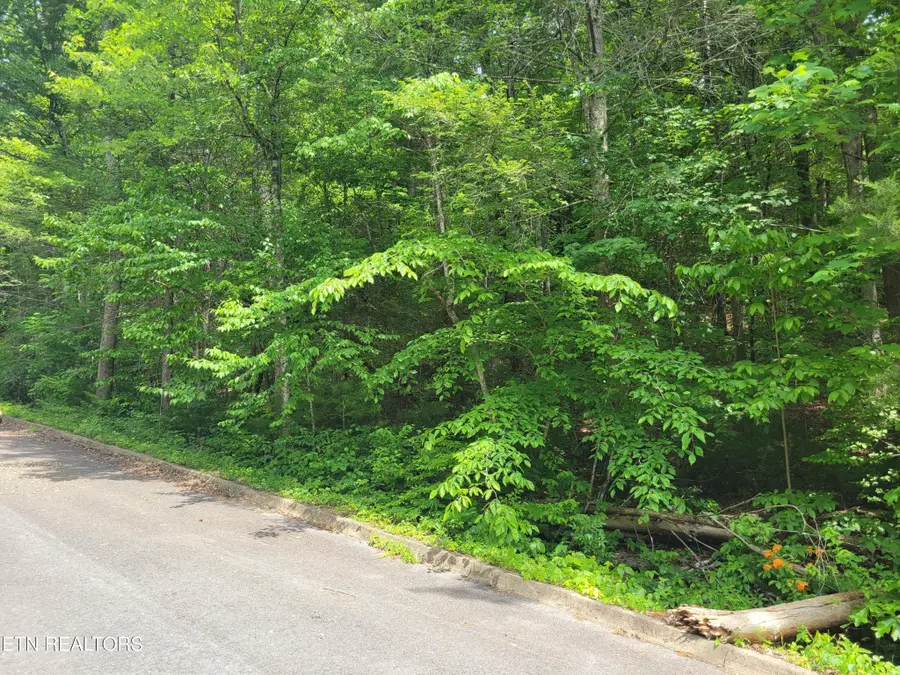14 Peace Lane, Cosby, TN 37722 - #3