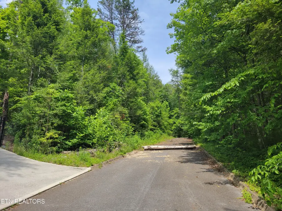 15 Peace Lane, Cosby, TN 37722 - #3