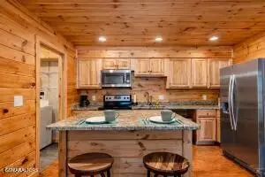 460 Sassafras Way, Cosby, TN 37722 - #2