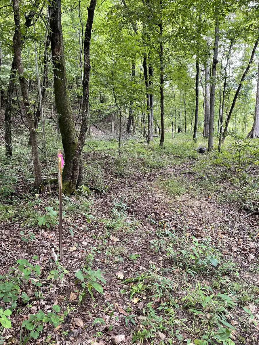 0 Brownfield Rd, Dover, TN 37058 - #3