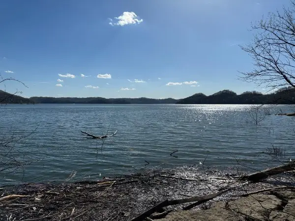0 Back Ranch Dr, Silver Point, TN 38582 - #1