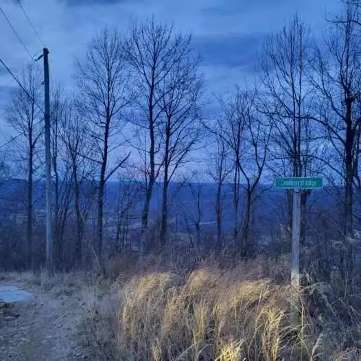 0 Little Bedford Road, Spring City, TN 37381 - #3