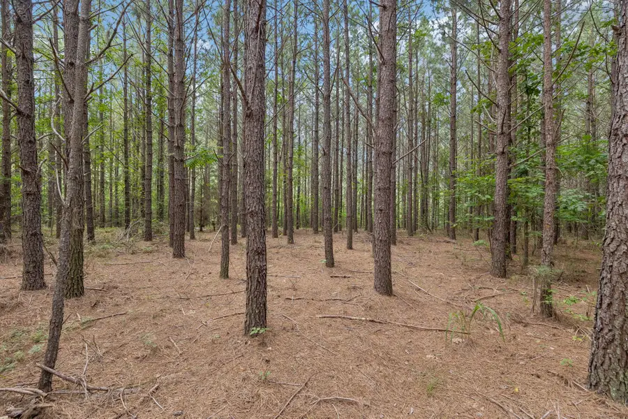 0 Falls Branch Road, Duck River, TN 38454 - #2