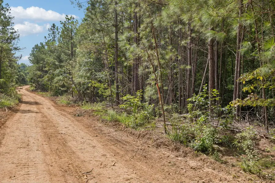 0 Falls Branch Road, Duck River, TN 38454 - #3