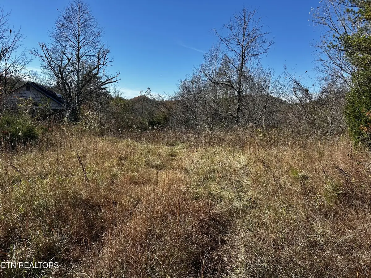0 Shaddon Road Lot 1, Tellico Plains, TN 37385 - #1