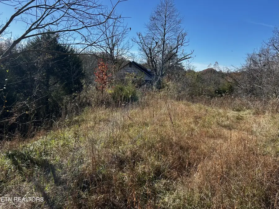 0 Shaddon Road Lot 1, Tellico Plains, TN 37385 - #3