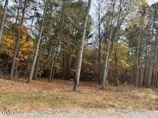 440 Cody Lane, Madisonville, TN 37354 - #3