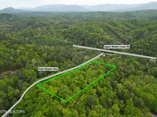 0 Hobe Maples Way, Sevierville, TN 37876
