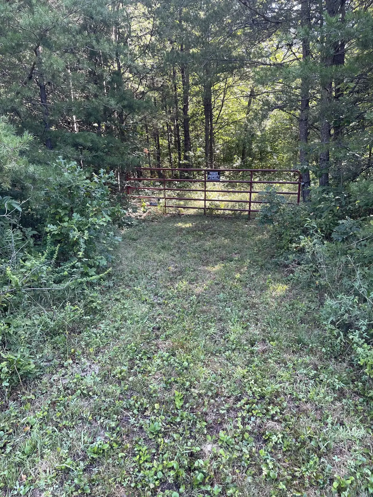 0 Turkey Track Rd, Altamont, TN 37301 - #1