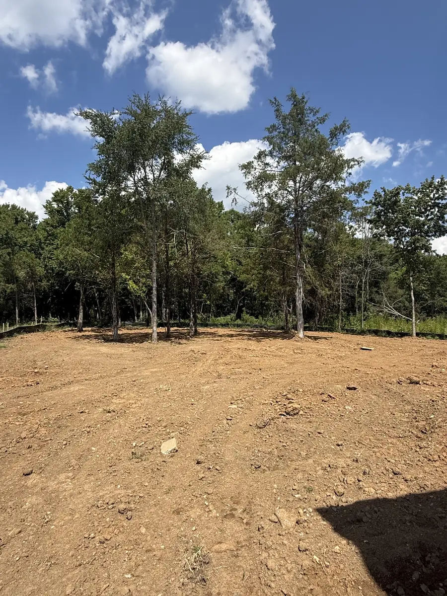 107 Cedarstone Drive, Mount Juliet, TN 37122 - #2