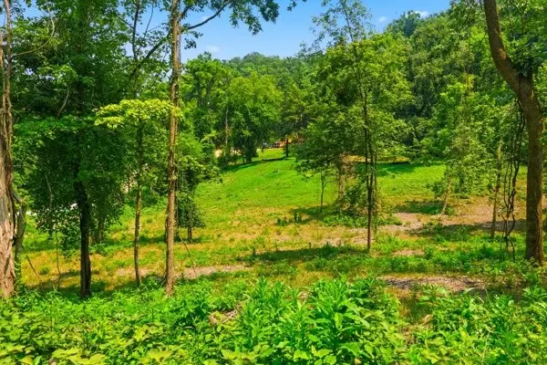 1045 Balmoral Dr, Nashville, TN 37220 - #2