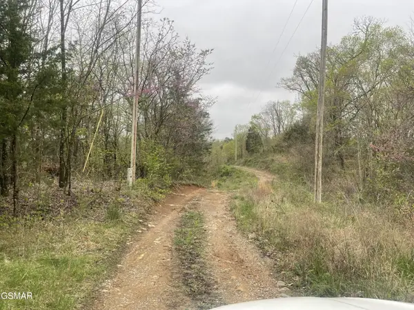 952 Stokes Valley Way, Parrottsville, TN 37843