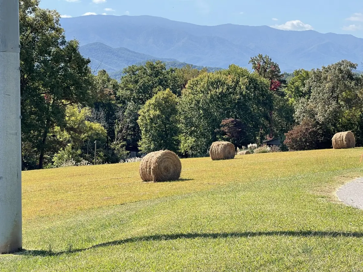 0 Robert E Lee, Newport, TN 37821 - #1
