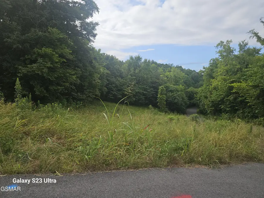 0 Ivy Way, Newport, TN 37821 - #2