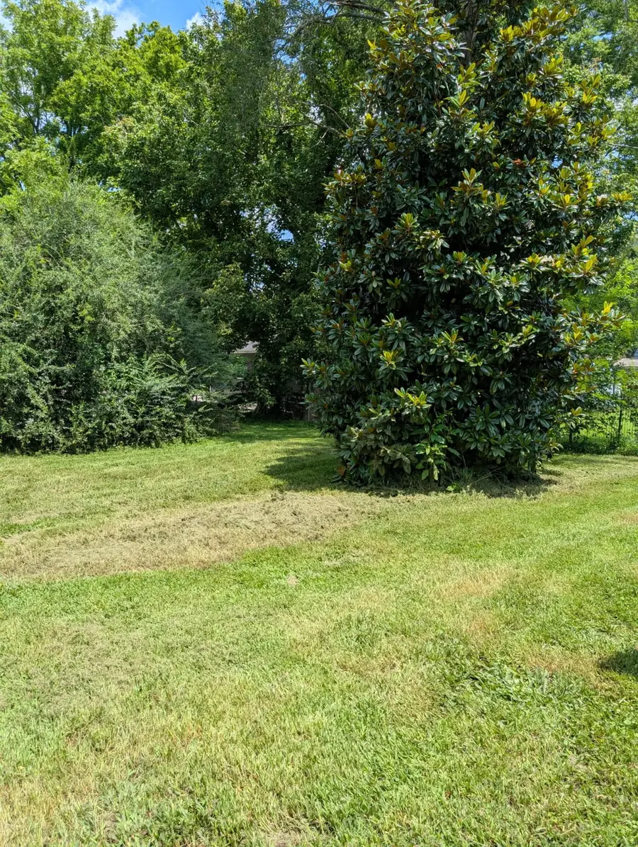 207 East Wyly Street, Waverly, TN 37185 - #3