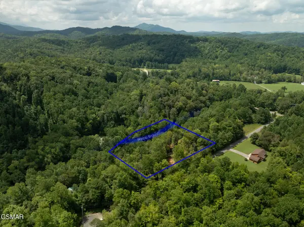 56 Ardell Way, Cosby, TN 37722
