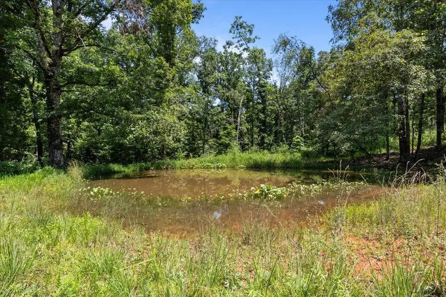 0 Hwy 230, Hurricane Mills, TN 37101 - #3