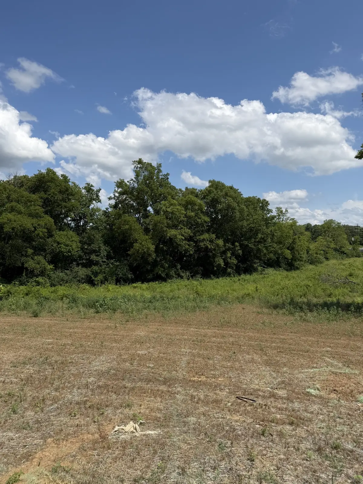 1136 Old Creek Bend, Gallatin, TN 37066 - #1