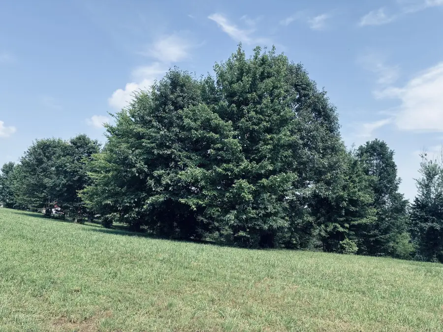 800 Sunset Circle, Jasper, TN 37347 - #2